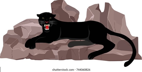 Black panther lying on the stones, vector illustration
