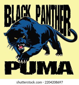 Black Panther A Nice Poster