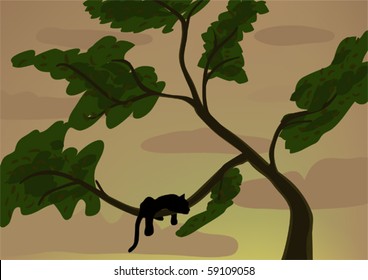 Black panther on a tree