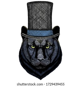Black panther, puma. Cylinder hat. Wild cat portrait.