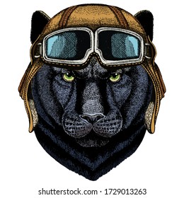 Black panther, puma. Head of animal. Wild cat portrait. Vintage aviator helmet with googles.