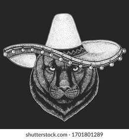 Black panther, puma. Sombrero is traditional mexican hat. Mexico. Head of animal. Wild cat portrait.