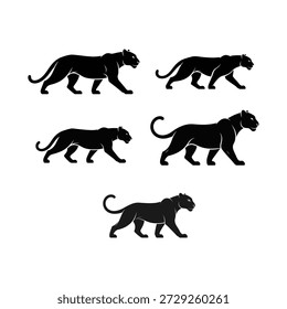 Schwarze Panther Silhouette Vektorsammlung in Walking und Stalking Posen. Starke große Katzenwild-Symbole einzeln auf weißem Hintergrund. Perfekt für Sport-Logos, Maskottchen, Tattoo-Designs, Tierbranding, Dschungelthemen und kraftvolle Emblem-Illustrationen.
