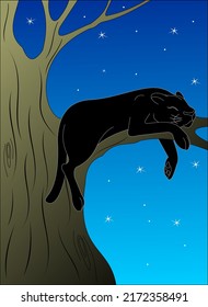 black panther sleeping on a tree