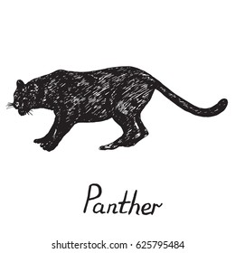 Black Panther standing silhouette profile, hand drawn doodle, sketch in pop art style, vector illustration
