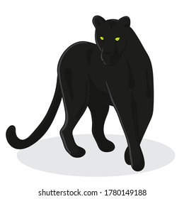 black Panther stay on its front  - vector illustration in cartoon style