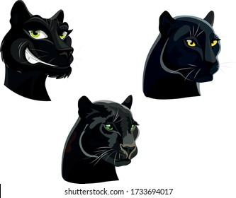 
black Panther. three types of panther head drawn