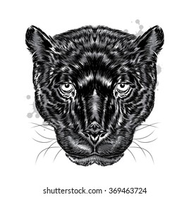 Black panther vector. Hipster. Vector illustration for greeting card, poster, or print on clothes.