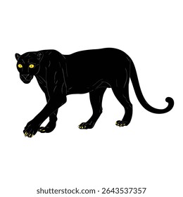Black panther walks forward calmly on white background illustration