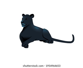 Black panther wild big cat african jungle hunter cartoon animal design vector illustration on white background