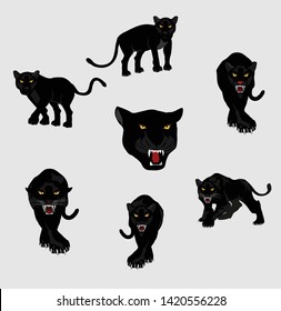 Black panthers set, isolated on white background vector illustration