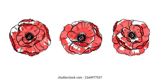 Black papaver flower sketch set in beautiful style on red background. Watercolor art vector. Green color. Botanical print.