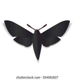 A black paper butterfly with 