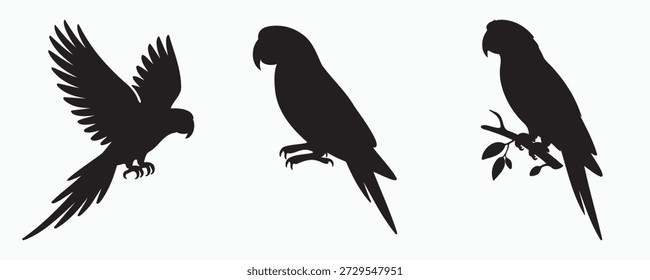 Black parrot bird silhouettes in different poses, including flying and perched positions. Clean vector illustration of a tropical parrot, ideal for logos, tattoos, prints, and nature designs