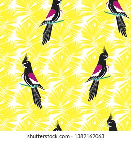 Black parrot pattern with tropical leaves. Tropical seamless background with parrot, tropical leaves and hibiscus flowers. Beautiful black Corella