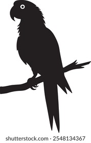 A black parrot Silhouette animal vactor