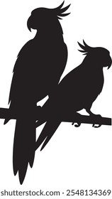 A black parrot Silhouette animal vactor