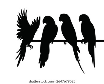 Black parrot silhouette set, macaw collection, vector illustration