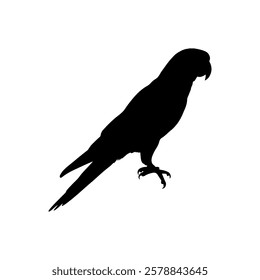 Black Parrot silhouette vector illustration on white background.
