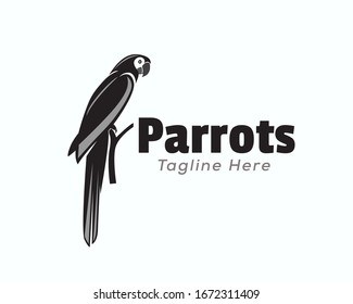 black parrots bird alighted logo design inspiration