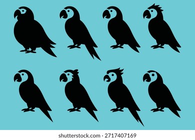 Loros negros sobre fondo azul pájaro guacamayo