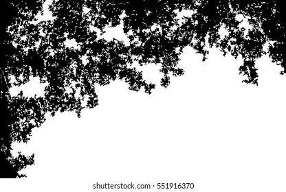  black pattern. abstract ornament. grunge texture. white background. vector illustration