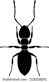 Black pattern of ant on white background