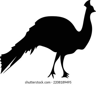 black peacock silhouette vector logo