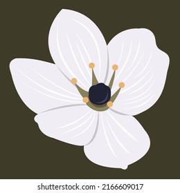 Black pearl lily flower flat vector background. Cute black pearl lily flower cartoon vector background for graphic design, illustration, and decorative element