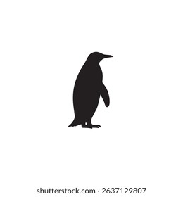 Black Penguin Beautiful Bird Image