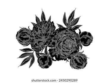 Black peonies. Floral bouquet . Poster. Hand-drawn collection. Vector illustration.
