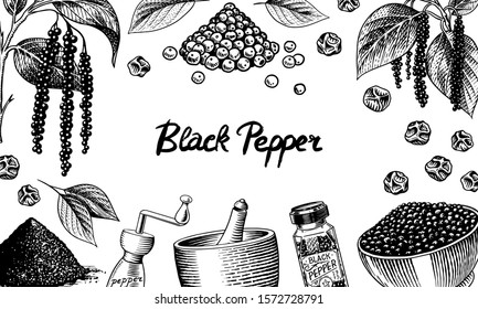 Black pepper background in Vintage style. Mortar and pestle, Allspice or peppercorn, Mill and dried seeds, a bunch of spices. Herbal seasoning set. Engraved hand drawn vector sketch for poster.