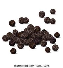 Black Pepper Closeup Vector Illustration