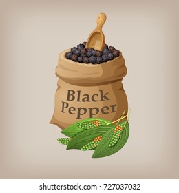 Black pepper corn in the bag. Vector illustration