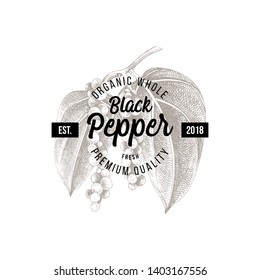 Black pepper emblem over hand drawn pepper plant. Vector illustration