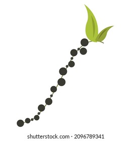ilustración de vector de clipart plana de pimienta negra