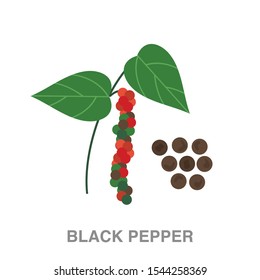 Black pepper flat icon on white transparent background. You can be used black pepper icon for several purposes.