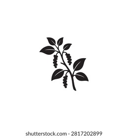 Black pepper icon isolated on white background.