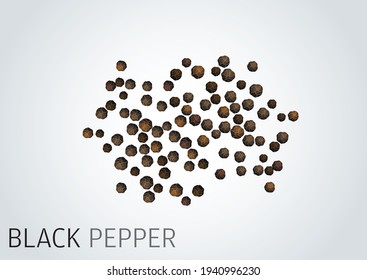 Black Pepper Image Good Food Brochure Stock Vector (Royalty Free ...