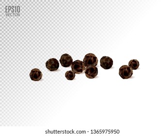 Black pepper isolated on transparent background. Spices. Quality realistic vector, 3d