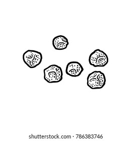 Black pepper. Isolated on white background. Vector black vintage engraving illustration. Hand drawn design element for label and poster