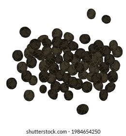 Black pepper. Peas black pepper vector isolated image on a white background. Spice.