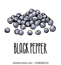 Black pepper peas. Vector isolated spice illustration on white background with inscription