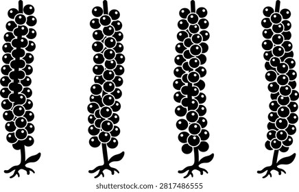 Black Pepper Piper Nigrum Silhouette Set Featuring Peppercorn Berries on Vine Clusters for Food Packaging, Culinary Spices, and Organic Herb Ingredient Graphics.eps
