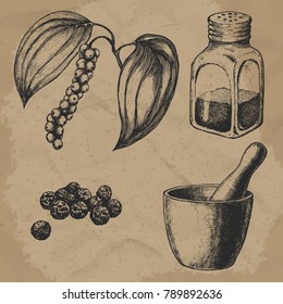 Black pepper, plant and seeds. Hand mortar with a pestle. Glass pepper. Vintage hand-drawn vector set for design.