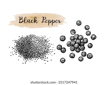 Black pepper seasoning. Hand drawn ink sketch. Vintage style.