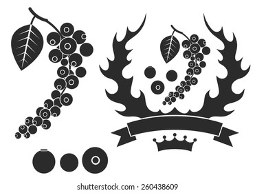 Black pepper set. Isolated black pepper on white background