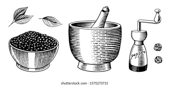 Black pepper set in Vintage style. Mortar and pestle, Allspice or peppercorn, Mill and dried seeds. Engraved hand drawn vector sketch for background