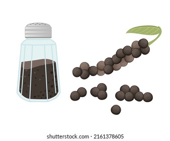 Black pepper shaker glass bottle vector illustration on white background