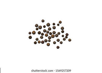 Black Pepper Spice Herb Closeup Vector Illustration